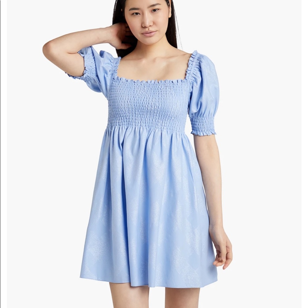 COPY - NWT Hill House Athena Dress in blue glitter check medium nap dress